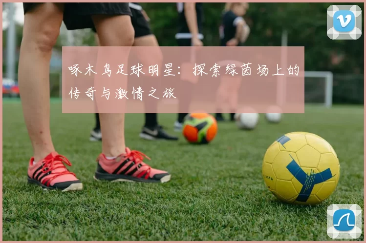 啄木鸟足球明星：探索绿茵场上的传奇与激情之旅