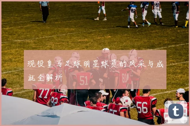 现役皇马足球明星球员的风采与成就全解析