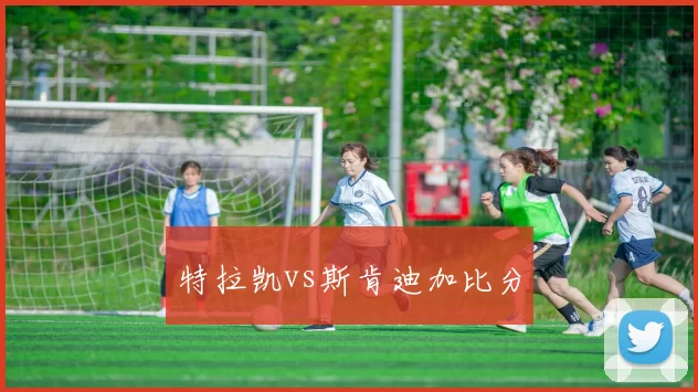 特拉凯vs斯肯迪加比分