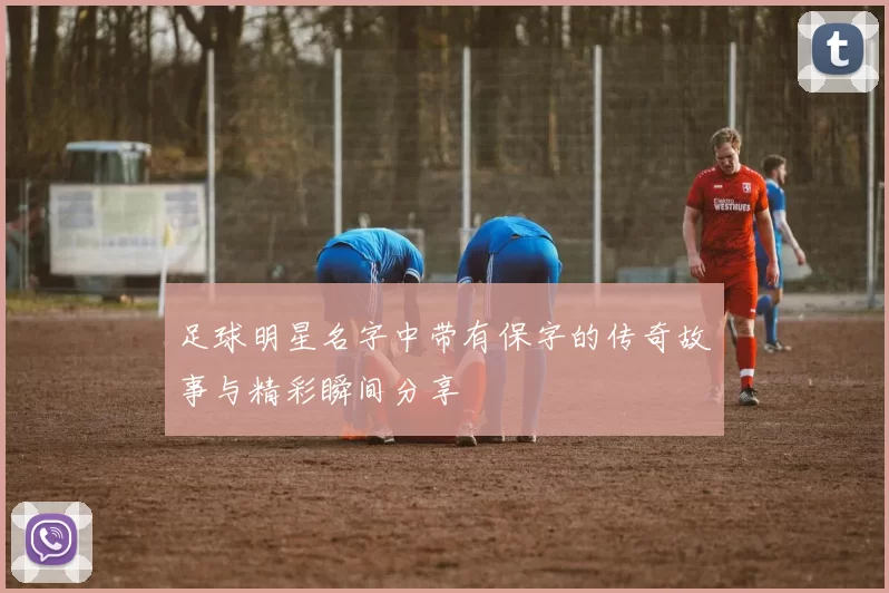 足球明星名字中带有保字的传奇故事与精彩瞬间分享