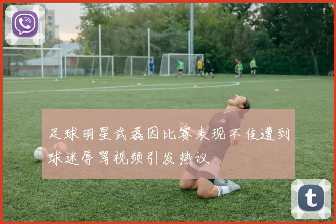 足球明星武磊因比赛表现不佳遭到球迷辱骂视频引发热议