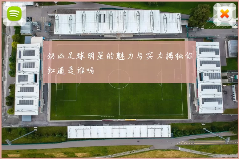 奶凶足球明星的魅力与实力揭秘你知道是谁吗