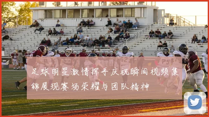 足球明星激情挥手庆祝瞬间视频集锦展现赛场荣耀与团队精神