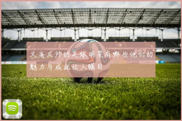 又高又帅的足球明星有哪些他们的魅力与成就让人瞩目