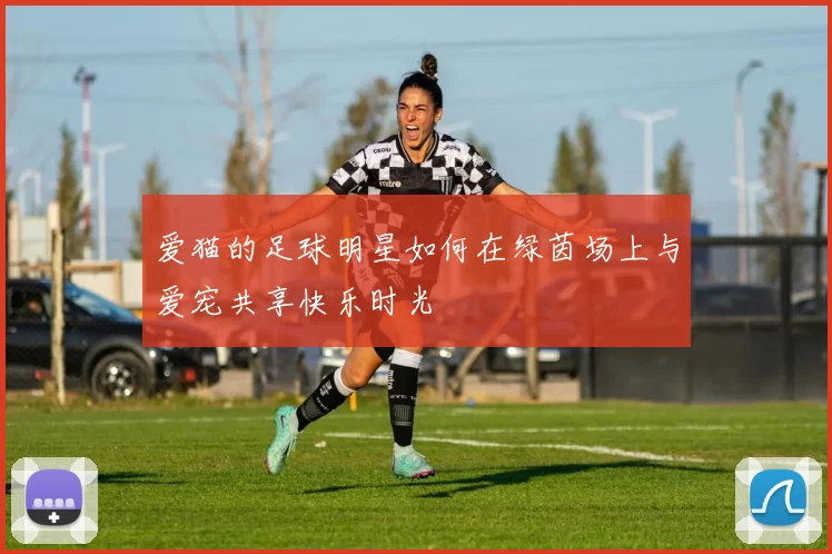 爱猫的足球明星如何在绿茵场上与爱宠共享快乐时光