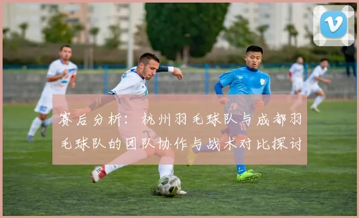 赛后分析：杭州羽毛球队与成都羽毛球队的团队协作与战术对比探讨