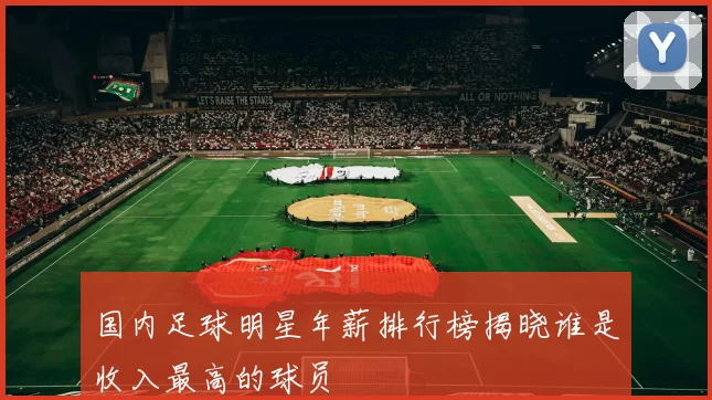 国内足球明星年薪排行榜揭晓谁是收入最高的球员