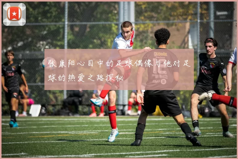 张康阳心目中的足球偶像与他对足球的热爱之路探秘
