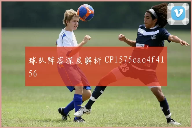 球队阵容深度解析 CP1575cae4f4156
