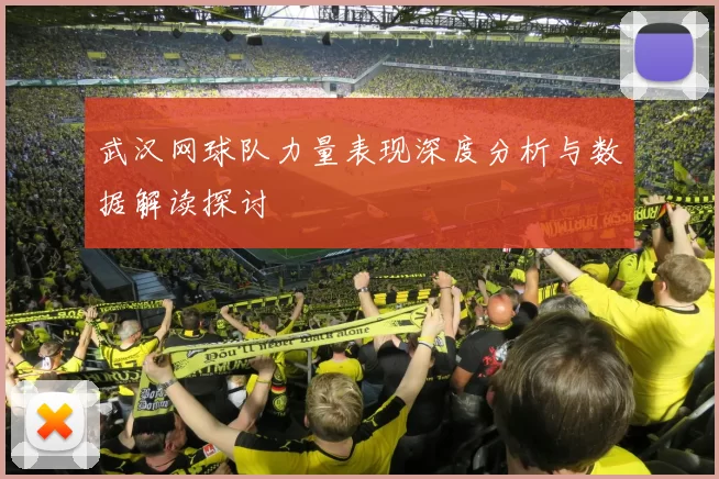 武汉网球队力量表现深度分析与数据解读探讨