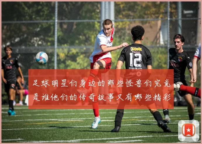 足球明星们身边的那些怪兽们究竟是谁他们的传奇故事又有哪些精彩瞬间