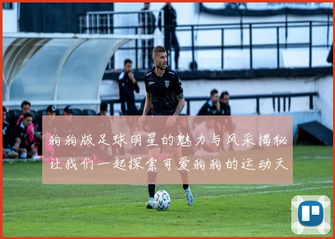 狗狗版足球明星的魅力与风采揭秘让我们一起探索可爱狗狗的运动天赋